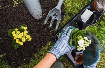 Why Landscaping is the Best Investment for Your Property in 2025